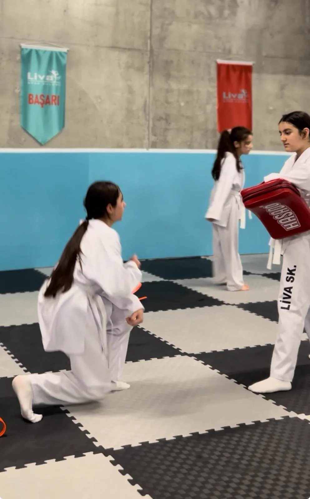 Taekwondo Antrenman