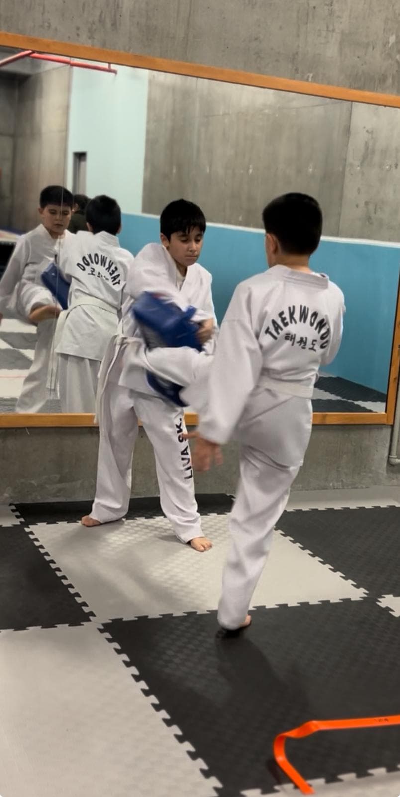 Taekwondo Grup